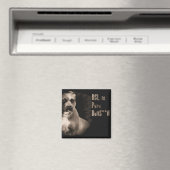 BSLは純粋なBSスクエアマグネット マグネット (インサイチュ (食洗機))