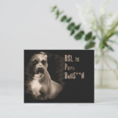 BSLはBSポストカード ポストカード (スタンド正面)