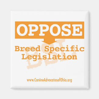 BSL正方形マグネットに対向 マグネット