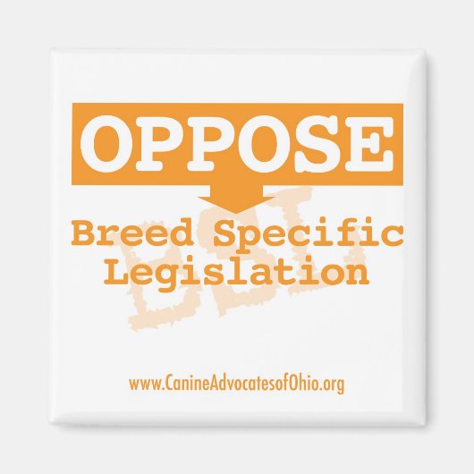 BSL正方形マグネットに対向 マグネット (正面)