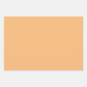 BSPllcギフトラップ1 ラッピングペーパーシート (正面3)