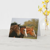 BThree Quarter Horsesランニングのヘッドショット カード (黄色い花)