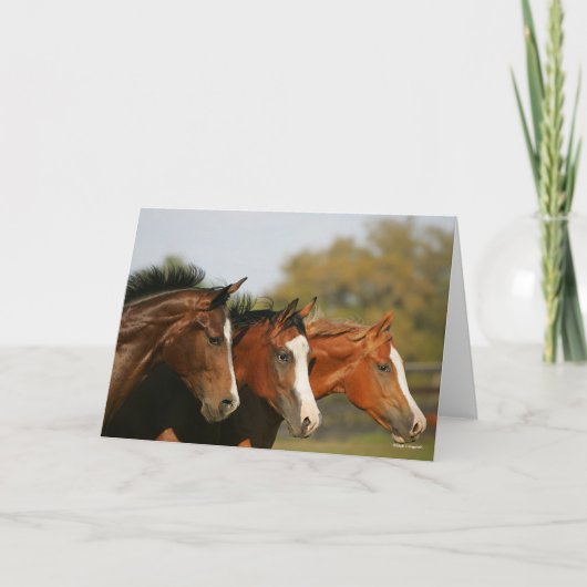 BThree Quarter Horsesランニングのヘッドショット カード (正面)