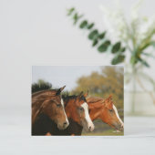 BThree Quarter Horsesランニングのヘッドショット ポストカード (スタンド正面)