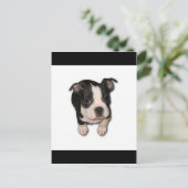 BTpup ポストカード (スタンド正面)