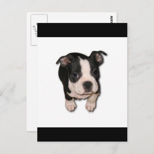 BTpup ポストカード (正面/裏面)