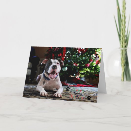 Bubbaの幸せな休日 シーズンカード (正面)