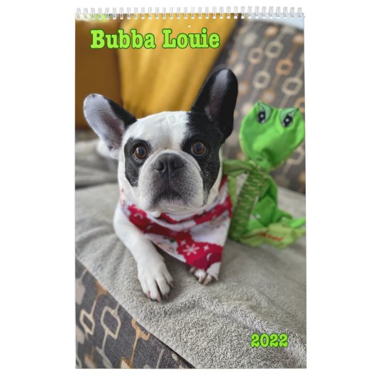 Bubbaカレンダー2022 カレンダー (カバー)