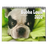 Bubba Louie 2020カレンダー カレンダー (カバー)