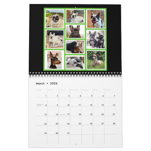 Bubbasphere 2024 カレンダー (3月 2026)