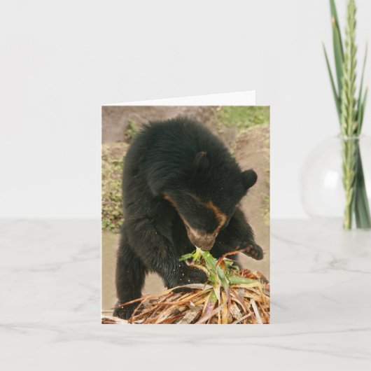 Bubu Notecard PB1 カード (正面)