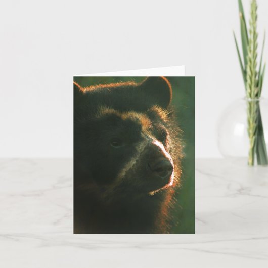 Bubu Notecard PB2 カード (正面)