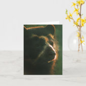 Bubu Notecard PB2 カード (黄色い花)