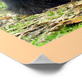 Bubu the Andean Bear at Yanahurco,エクアドル ポスター (角)