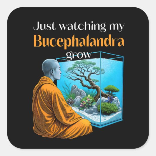 Bucephalandra Zen – A Meditative Aquascaping スクエアシール (正面)