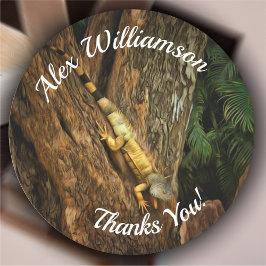 Bucerias Iguanaありがとう1069 ラウンドシール