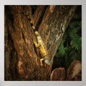 Bucerias Iguana 1069アートプリント ポスター (正面)