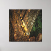 Bucerias Iguana 1069アート キャンバスプリント (正面)