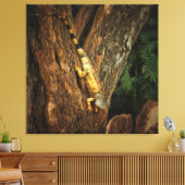 Bucerias Iguana 1069アート キャンバスプリント (インサイチュ (リビング))