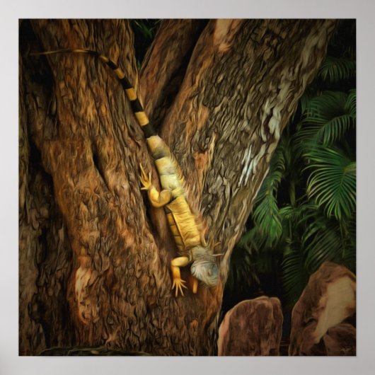 Bucerias Iguana 1069 Art Print ポスター (正面)