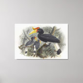 Buceros rhinoceros キャンバスプリント (正面)