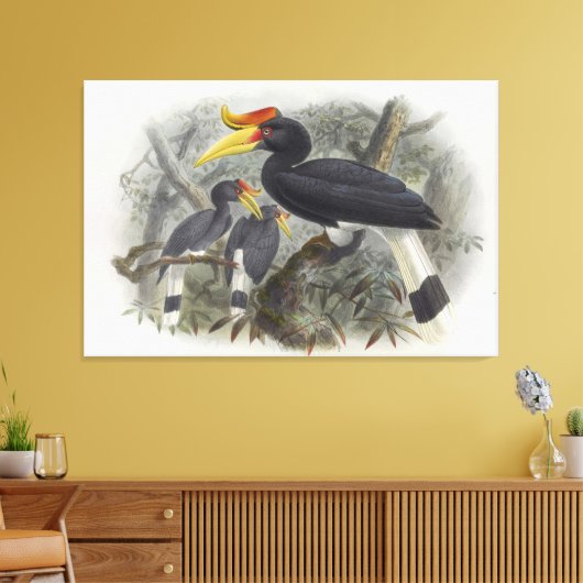 Buceros rhinoceros キャンバスプリント (インサイチュ (リビング))