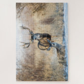 Buck Couple | Mule Deer ジグソーパズル (縦)