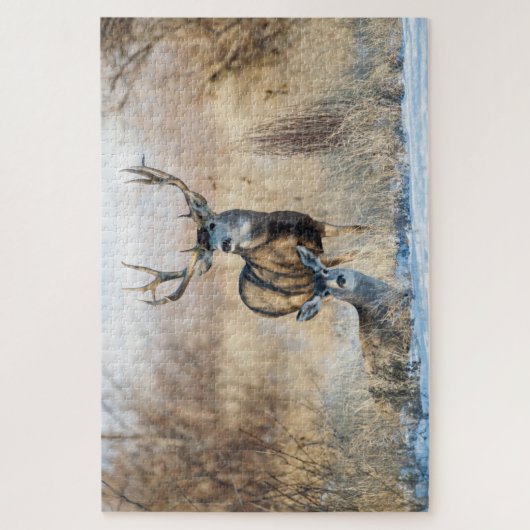 Buck Couple | Mule Deer ジグソーパズル (縦)