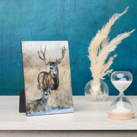 Buck Couple | Mule Deer フォトプラーク (側面)
