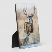 Buck Couple | Mule Deer フォトプラーク (側面)