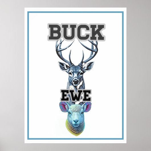 BUCK EWE  ポスター (正面)