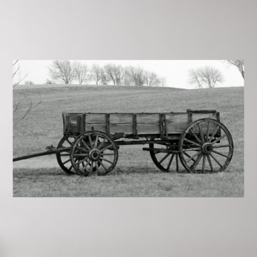 Buckboard wagon ポスター (正面)