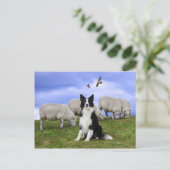 『Buckeroo On Duty』はがき ポストカード (スタンド正面)