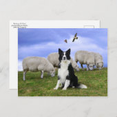 『Buckeroo On Duty』はがき ポストカード (正面/裏面)