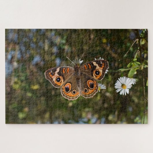 Buckeye Butterfly. ジグソーパズル (横)