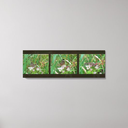 Buckeye Butterfly Triptych キャンバスプリント (正面)