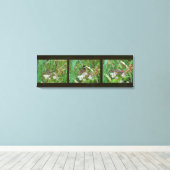 Buckeye Butterfly Triptych キャンバスプリント (インサイチュ (ウッドフロア))
