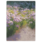 Buckhornの星状体ショー クリップボード (裏面)