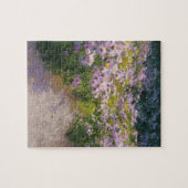 Buckhornの星状体ショー ジグソーパズル (横)