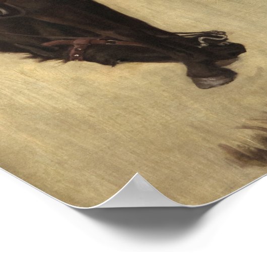 Bucking Bronco, 1903年Newell Convers Wyeth著 ポスター (角)