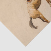 Bucking Bronco、Edward Borein著 薄葉紙 (詳細)