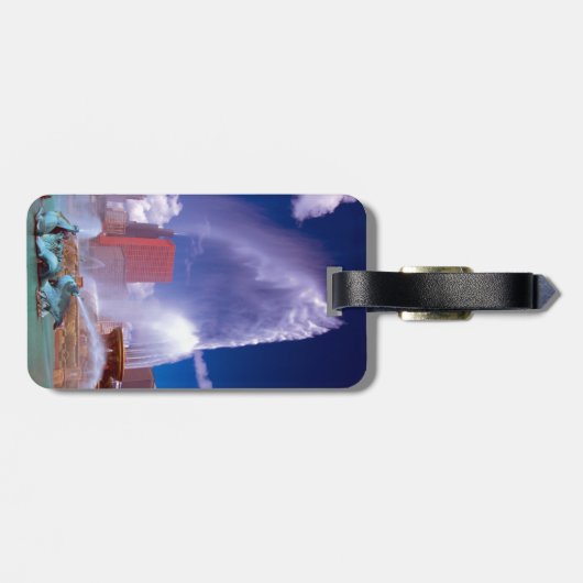 Buckinghamの噴水のシカゴの荷物のラベル ラゲッジタグ (裏面横)