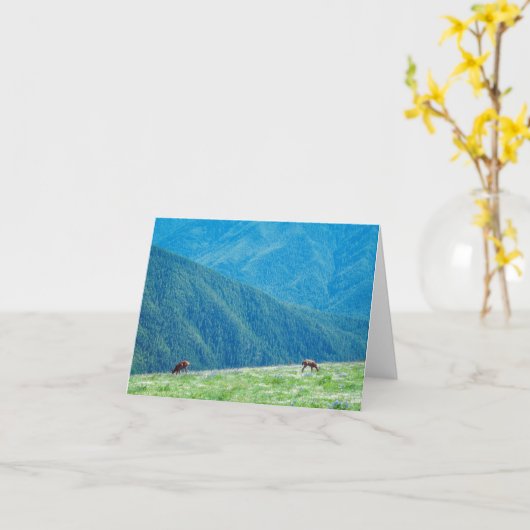 Bucks by the Mountains カード (黄色い花)