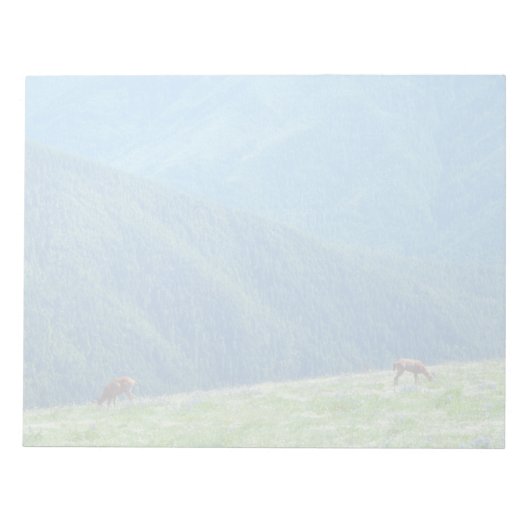Bucks by the Mountains ノートパッド (正面)