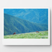 Bucks by the Mountains フォトプラーク (正面)