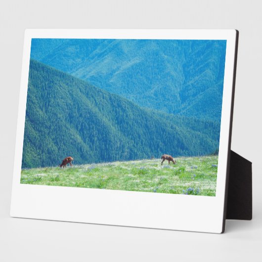 Bucks by the Mountains フォトプラーク (側面)