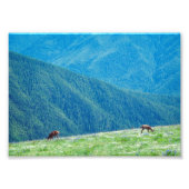 Bucks by the Mountains フォトプリント (正面)