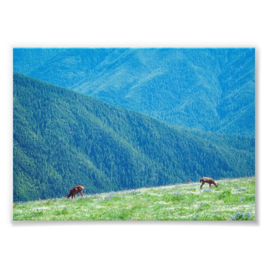 Bucks by the Mountains フォトプリント (正面)