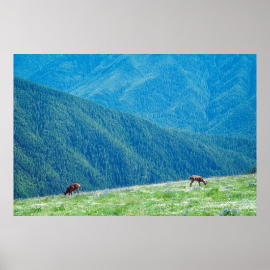 Bucks by the Mountains ポスター (正面)