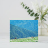 Bucks by the Mountains ポストカード (スタンド正面)